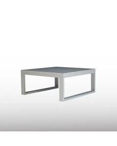 Mesa Baja Pampa Andes 41